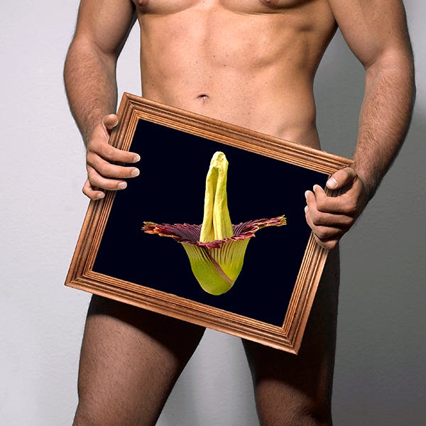Los testiculos grandes producen mas esperma